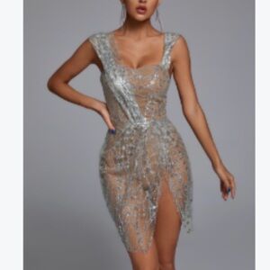 Silver Embellished Mini Dress with Sheer Nude Lining - Women